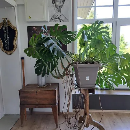 度假居 Aux Alouettes