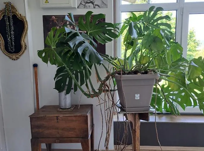 בית נופש Aux Alouettes